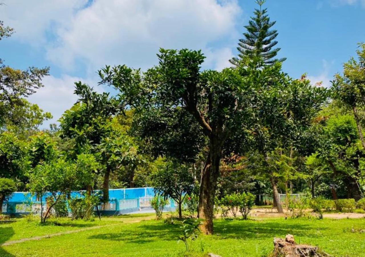The Green Heaven Resort Sigiriya Exteriör bild